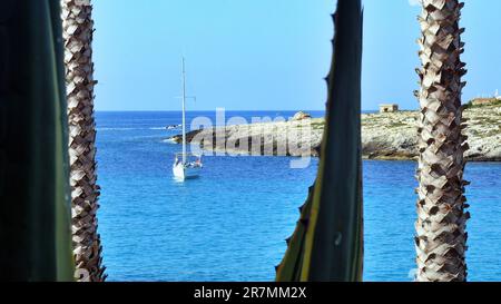 Bild vom Naturschutzgebiet Lampedusa Island. Sizilien, Italien Stockfoto