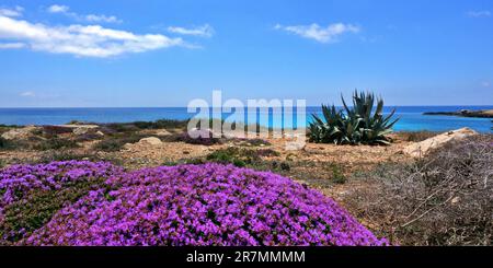 Bild vom Naturschutzgebiet Lampedusa Island. Sizilien, Italien Stockfoto