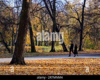 Lazienki Park oder Royal Baths Park, Warschau, Masowisches Woiwodschaft, Polen Stockfoto