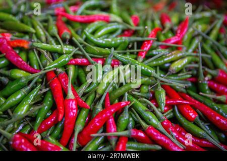Rot und Grün Hintergrund der asiatischen Chilis Stockfoto
