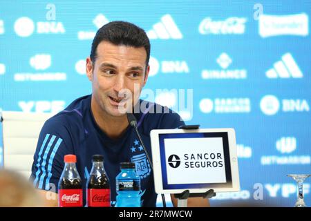 Leonel Scaloni, argentinischer Trainer Stockfoto