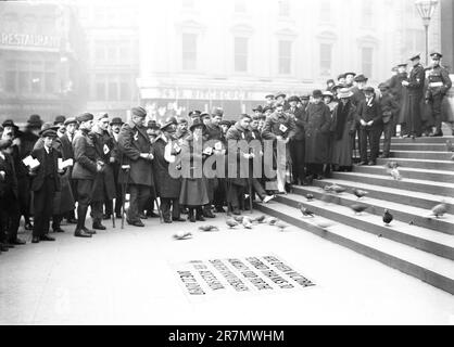 Die USA werden gerettet Soldaten zur Besichtigung der Sehenswürdigkeiten, St. Paul's Cathedral, London, England, Großbritannien, American National Red Cross Photograph Collection, zwischen 1917 und 1919 Stockfoto