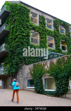 AARHUS, DÄNEMARK -25. AUGUST 2022 - Blick auf den Campus der Aarhus-Universität (AU), der zweitältesten und größten Universität Dänemarks. Stockfoto