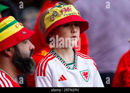 Cardiff, Großbritannien. 16. Juni 2023. Walisische Fans sind anwesend. Wales gegen Armenien am 16. Juni 2023 in einem UEFA EURO 2024 Qualifier im Cardiff City Stadium. Kredit: Lewis Mitchell/Alamy Live News Stockfoto