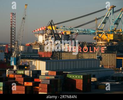 Containerhafen Rotterdam Stockfoto