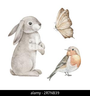 Ein Set süßer Waldtiere. Flauschiger grauer Hase, Osterhase, Rotbrustvogel und Schmetterling. Handzeichnung in Aquarellfarbe für Aufkleber Stockfoto