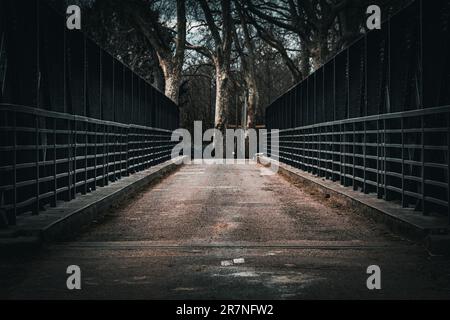 Dieses Stockfoto zeigt eine malerische Brücke in einem Park bei Nacht Stockfoto