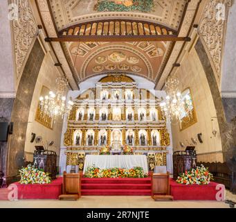 Cebu City, Cebu, Philippinen-Januar 17 2023: Der goldene Altar, umgeben von frischen Blumen und rotem Teppich, wird mit ikonischen Bildern von Heiligen, Engeln, Stockfoto