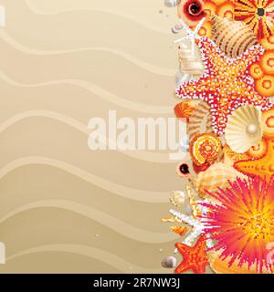 Schalen und Seesterne auf Sandhintergrund mit Platz für Text. Vektordarstellung. Stock Vektor