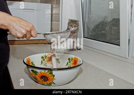Weibliches Mehl, das von Hand durch ein manuelles Mehlsieb in einer Schüssel gesiebt wird, Nahkopie. Ich koche Teig. Küchengerät aus Metall. Stockfoto