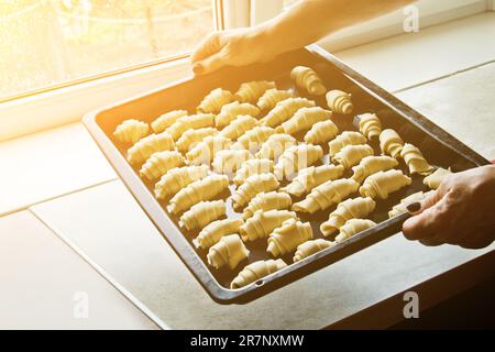 Die Hände weiblicher Köche halten ein Tablett voller ungekochter Teigrollen. Kochen, Backen, Kochen. Backphase. Rohe Teig-Croissants Stockfoto