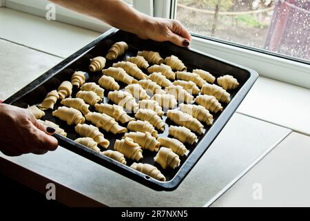 Die Hände weiblicher Köche halten ein Tablett voller ungekochter Teigrollen. Kochen, Backen, Kochen. Backphase. Rohe Teig-Croissants Stockfoto