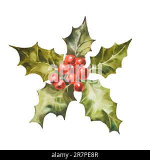 Aquarell-Illustration Holly. Handbemalter Strauchzweig mit roten Beeren isoliert auf weißem Hintergrund. Botanische Weihnachtsclips für Design und Dekor Stockfoto