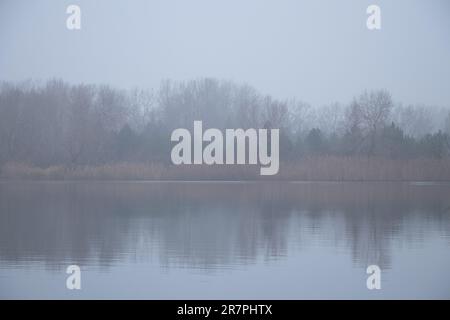 Nebeliger Morgen auf dem Fluss entlang der ukrainischen Küste in der Stadt Dnipro im Dezember 2020 Stockfoto