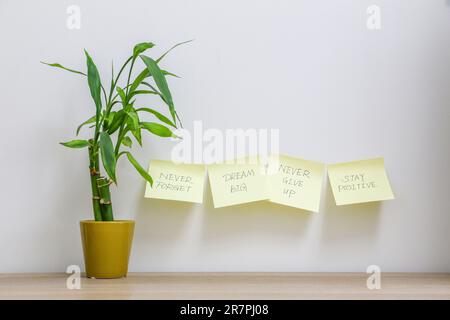 Motivierende und inspirierende Botschaften auf vier gelben Klebezetteln an der Wand neben einer glücklichen Bambuspflanze (Dracaena sanderiana), die zum Dream BI ausdrücken Stockfoto