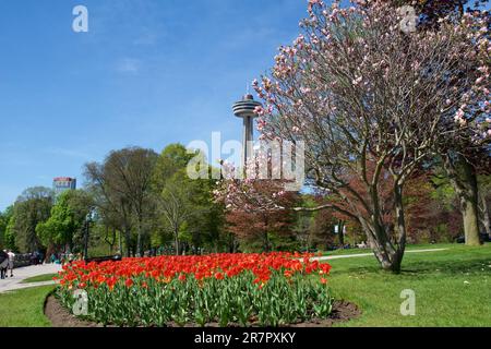 NIAGARAFÄLLE, ONTARIO, KANADA - 21. MAI 2018: Wunderschöne Parklandschaft Niagara Garden Place mit Blumen und Bäumen im Frühling, mit Blüten und dem Skylon Stockfoto