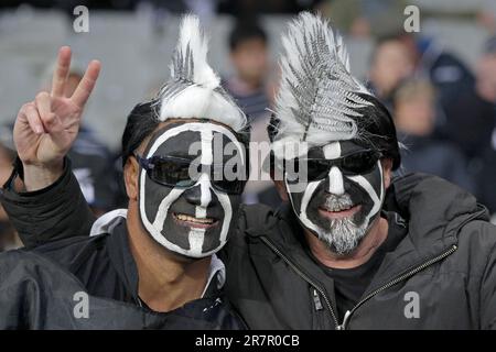 Fans erwarten den Start des Finales der Neuseeland gegen Frankreich Rugby-Weltmeisterschaft im Eden Park, Auckland, Neuseeland, Sonntag, den 23. Oktober, 2011. Stockfoto