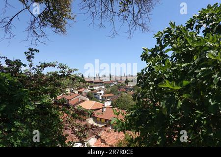 Schöner Blick auf die gefliesten Dächer der dichten Häuser der Altstadt von Antalya von der südlichen Vegetation an einem hellen, sonnigen Tag Stockfoto