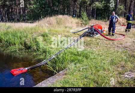 13. Juni 2023, Mecklenburg-Vorpommern, Lübtheen: Löschwasser wird von einer Pumpe aus einem Wasserlauf entnommen, um einen Waldbrand in einem ehemaligen militärisch verseuchten Ausbildungsgebiet zu bekämpfen. Foto: Jens Büttner/dpa Stockfoto