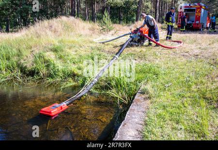 13. Juni 2023, Mecklenburg-Vorpommern, Lübtheen: Löschwasser wird von einer Pumpe aus einem Wasserlauf entnommen, um einen Waldbrand in einem ehemaligen militärisch verseuchten Ausbildungsgebiet zu bekämpfen. Foto: Jens Büttner/dpa Stockfoto