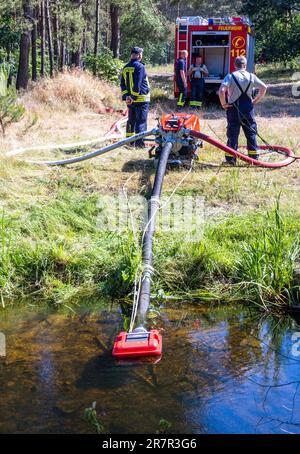 13. Juni 2023, Mecklenburg-Vorpommern, Lübtheen: Löschwasser wird von einer Pumpe aus einem Wasserlauf entnommen, um einen Waldbrand in einem ehemaligen militärisch verseuchten Ausbildungsgebiet zu bekämpfen. Foto: Jens Büttner/dpa Stockfoto