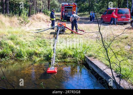 13. Juni 2023, Mecklenburg-Vorpommern, Lübtheen: Löschwasser wird von einer Pumpe aus einem Wasserlauf entnommen, um einen Waldbrand in einem ehemaligen militärisch verseuchten Ausbildungsgebiet zu bekämpfen. Foto: Jens Büttner/dpa Stockfoto