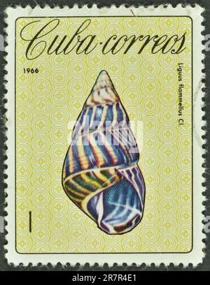 Von Kuba gedruckte Briefmarke, die Baumschnecke (Liguus flammellus) zeigt, ca. 1966. Stockfoto