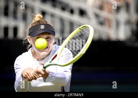 ROSMALEN - Aliaksandra Sasnovich (BLR) im Kampf gegen Ekaterina Alexandrova (RUS) während des Halbfinals des Libema Open Tennis Turniers in Rosmalen. AP-SCHLEIFGERÄT KING Stockfoto