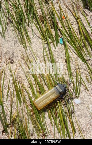 Plastikabfall, Strand, Mauritius Stockfoto