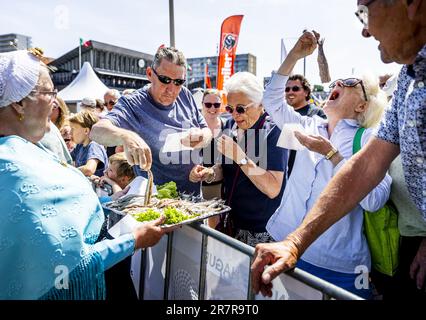 SCHEVENINGEN: Die Öffentlichkeit isst einen Hering während Vlaggetjesdag, dem Beginn der Heringssaison. Der offizielle Beginn der Saison wurde verschoben, weil der Hering noch nicht fett genug ist, aber Vlaggetjesdag wird weitermachen. ANP REMKO DE WAAL niederlande raus - belgien raus Stockfoto