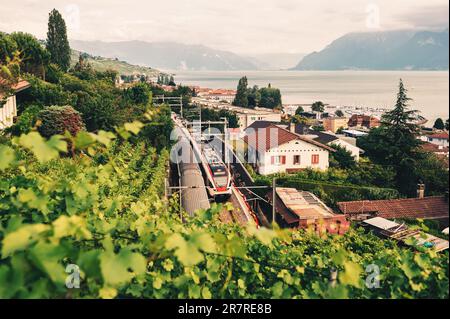 Zwei Züge fahren auf Bahngleisen durch die Weinberge Lavaux am Genfer See, Schweiz, Draufsicht Stockfoto