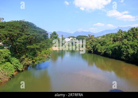 Blick von der Spitze der Kuttyady (Kuttiady, Kuttyadi) Brücke zum Fluss und den Bergen, Khozikode, Kerala in Indien Stockfoto