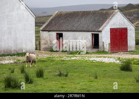 Baurhave, County Mayo, Irland Stockfoto