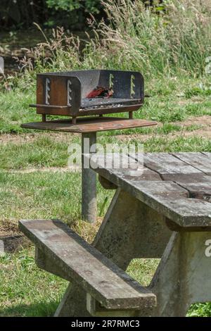 BBQ / Grill und Bank table im öffentlichen Stadtpark bei Lostwithiel, Cornwall. Stockfoto