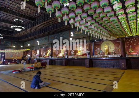 Busan, Südkorea - 26. Mai 2023: Der Daegaksa-Tempel ist ein kleiner buddhistischer Tempel aus der japanischen Kolonialzeit in Korea, Busan, Südkorea Stockfoto