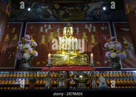 Busan, Südkorea - 26. Mai 2023: Der Daegaksa-Tempel ist ein kleiner buddhistischer Tempel aus der japanischen Kolonialzeit in Korea, Busan, Südkorea Stockfoto