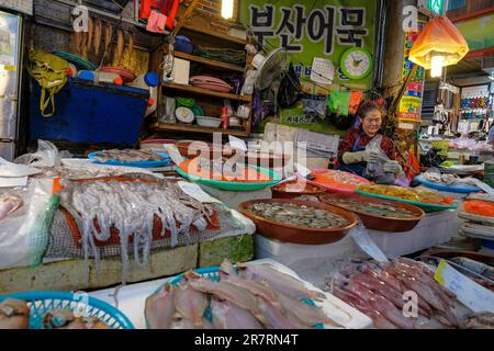 Busan, Südkorea - 26. Mai 2023: Eine Frau, die Fisch auf dem Gukje-Markt oder dem internationalen Markt im Nampodong-Bezirk in Busan, Südkorea, verkauft Stockfoto