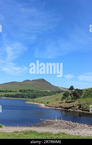 Dove Stone RSPB Reserve, Peak District, Großbritannien Stockfoto