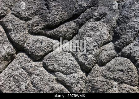 Verwitterungsmuster in Millstone Grit, RSPB Dove Stone Reserve, Peak District UK Stockfoto