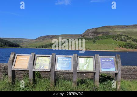 Dove Stone RSPB Reserve, Peak District, Großbritannien Stockfoto