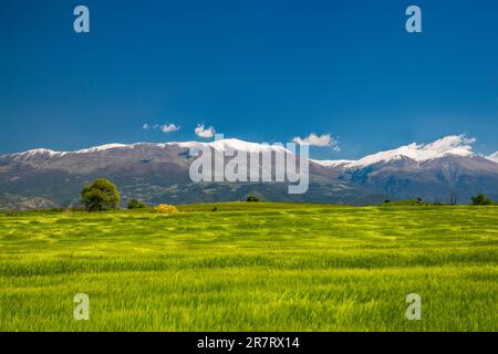 Mount Olympus Massiv, Blick von SW, in der Nähe des Dorfes Kallithea, Thessalien, Griechenland Stockfoto