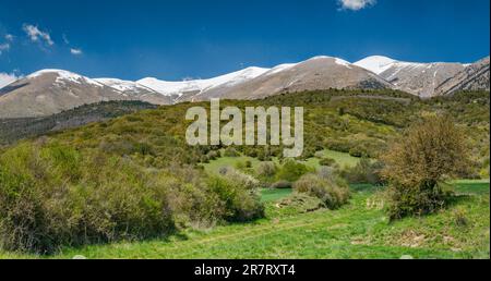 Gipfel des Olymp, Blick vom Süden, in der Nähe des Dorfes Karia (Karya), Thessalien, Griechenland Stockfoto