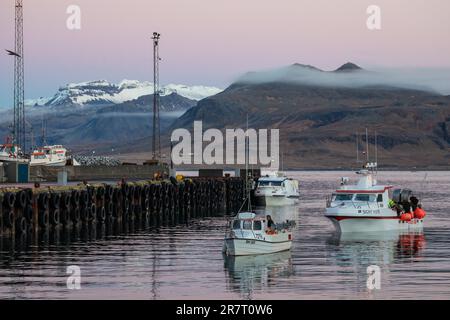 Olafsvik, Vesturland, Island Stockfoto