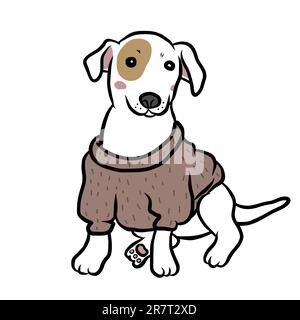 Jack Russell Hündchen trägt Pullover Cartoon Vektordarstellung Stock Vektor