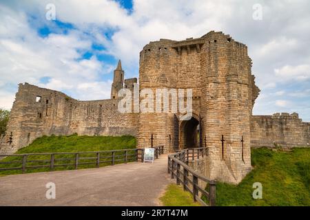 Warkworth Castle, Northumberland, England, Großbritannien Stockfoto