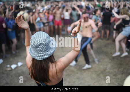 17. Juni 2023, Niedersachsen, Scheeßel: Festivalbesucher feiern und tanzen beim Hurricane Festival 2023 auf dem Gelände. Bis 18.06.2023 sind insgesamt 80 Konzerte auf vier Bühnen geplant. Das Rockmusikfestival Hurricane ist eines der größten deutschen Open-Air-Festivals. Foto: Lars Penning/dpa Stockfoto