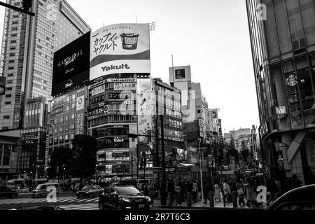 Shibuya, Japan. 17. Januar 2023. Die Shibuya durchqueren die Fußgängerzone mit umliegenden Gebäuden und Werbungen. Shibuya Crossing ist mit dem Times Square vergleichbar und die geschäftigste Kreuzung der Welt mit Touristen, Pendlern und Tokyoiten, die Bahnlinien besuchen oder umsteigen. Die U-Bahn-Linien JR East, Tokyu und Tokio verkehren an der Station Shibuya. (Kreditbild: © Taidgh Barron/ZUMA Press Wire) NUR REDAKTIONELLE VERWENDUNG! Nicht für den kommerziellen GEBRAUCH! Stockfoto