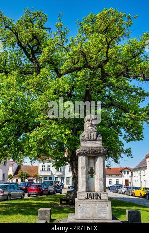 Friedrich-Ludwig-Jahn-Denkmal, Salzmarkt, Mittenwalde, Brandenburg, Deutschland Stockfoto