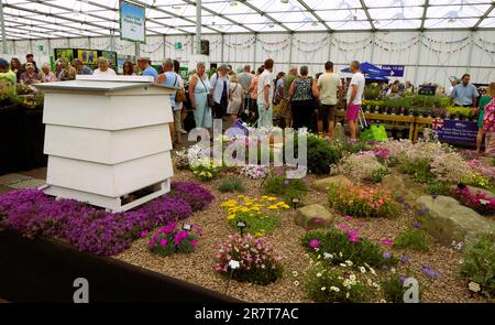 BBC Gardens, Birmingham, Großbritannien 2023 Stockfoto