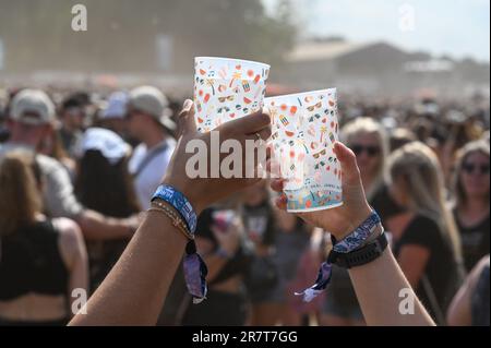 17. Juni 2023, Niedersachsen, Scheeßel: Festivalbesucher stoßen beim Hurricane Festival 2023 mit Plastikwinkeln an. Bis zum 18. Juni 2023 sind insgesamt 80 Konzerte auf vier Bühnen geplant. Das Rockmusikfestival Hurricane ist eines der größten deutschen Open-Air-Festivals. Foto: Lars Penning/dpa Stockfoto